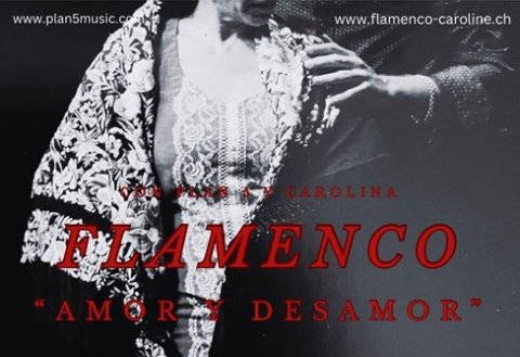 Flamenco_2