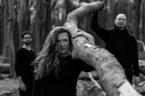 Die Musiker von Les Enfants Sauvages im Wald
